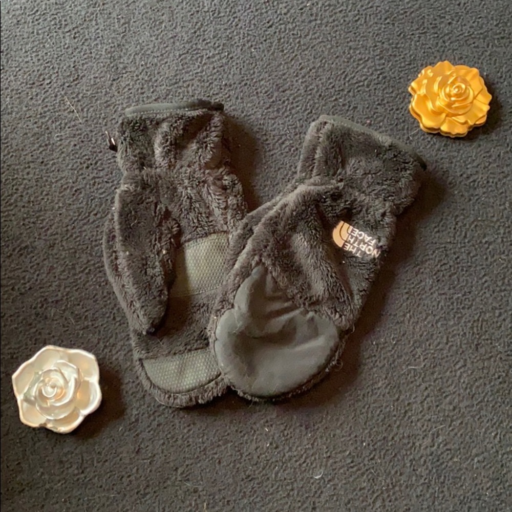 North Face Mittens!